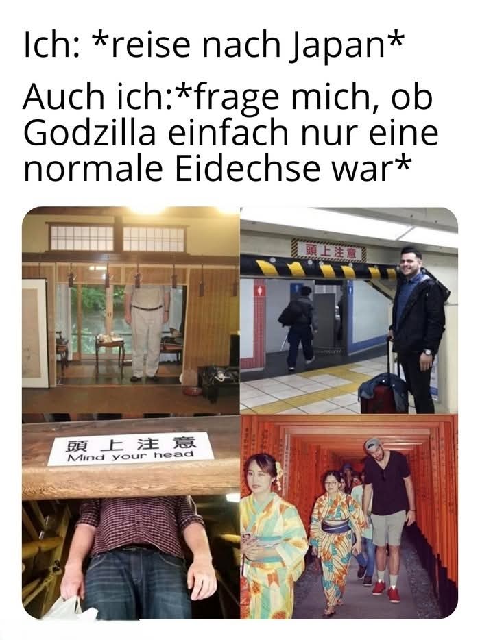 die Eidechse - jaszczurka