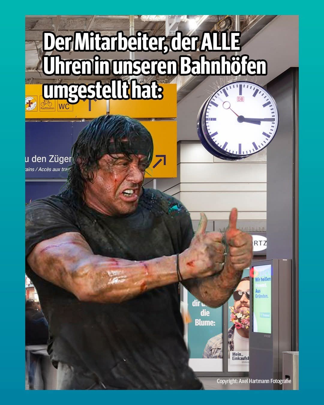 der Mitarbeiter - współpracownik