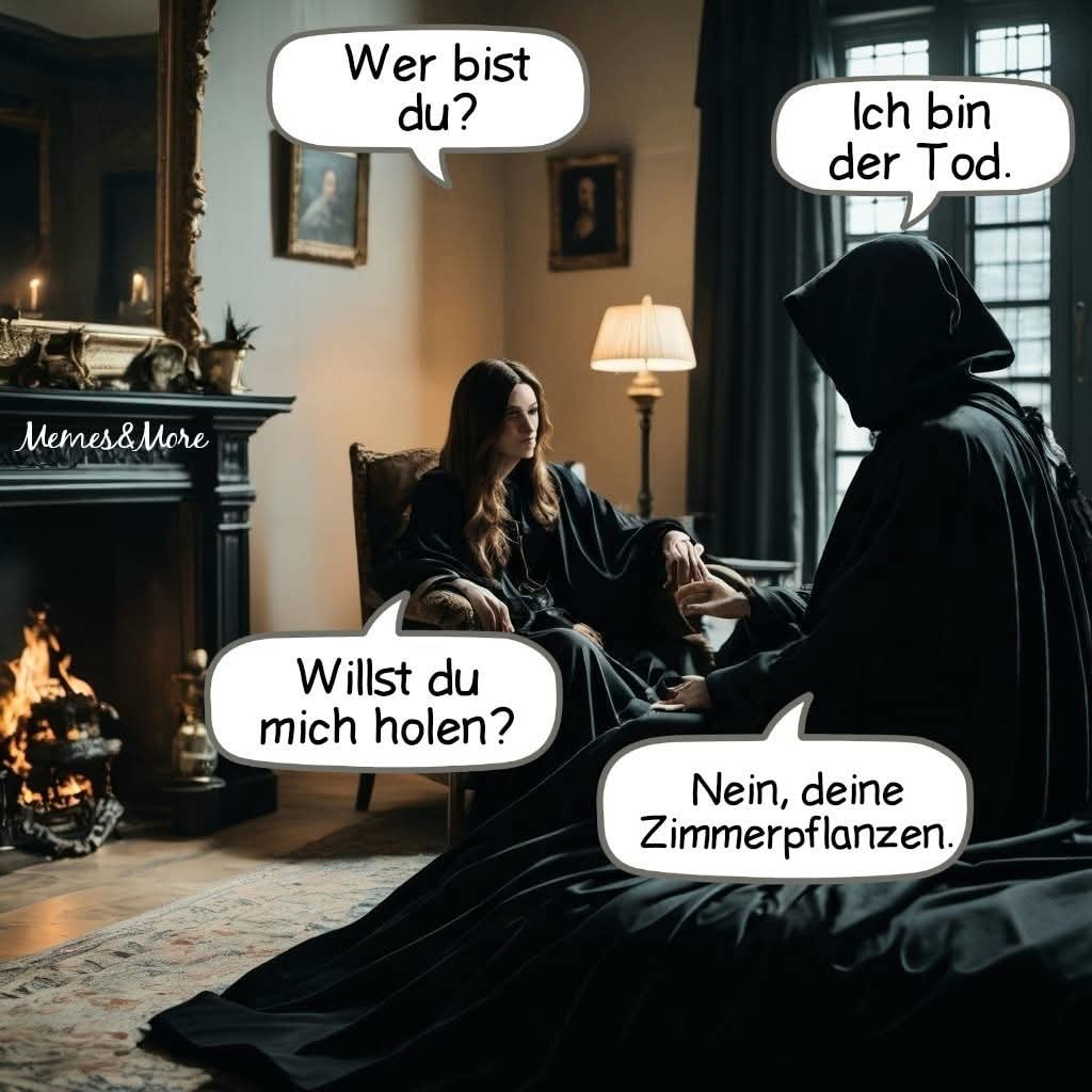 die Zimmerpflanze - roślina pokojowa