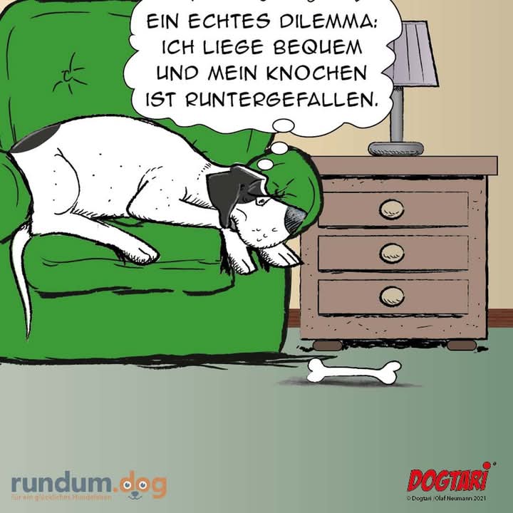der Knochen - kość