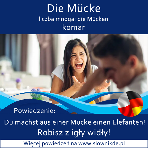 die Mücke - komar