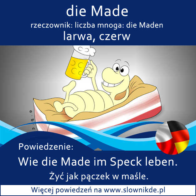 die Made - larwa, czerw