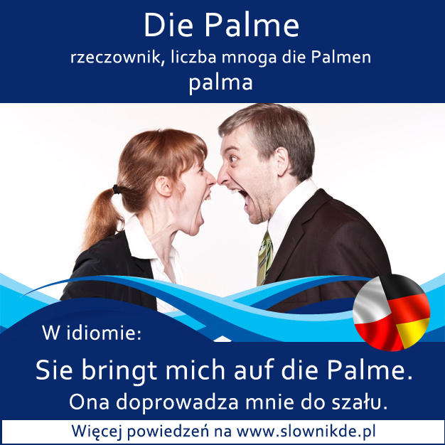 die Palme - palma