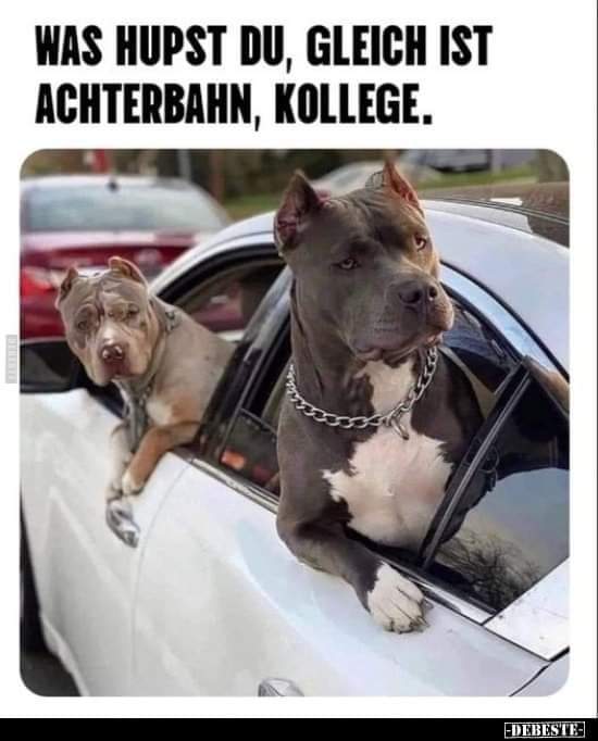 Achterbahn die - kolejka górska
