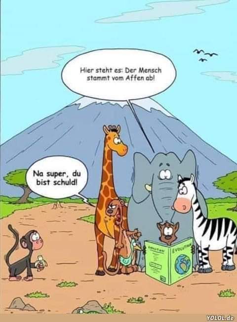 Affe der - małpa