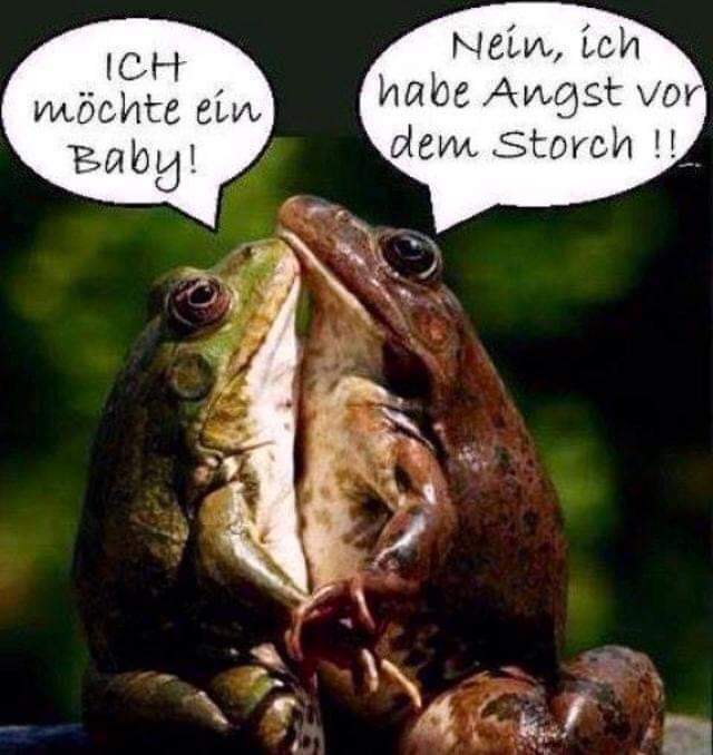 Angst die - strach, obawa, lęk, trwoga