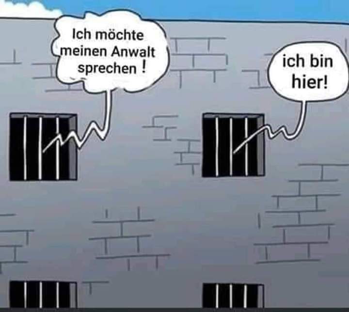 der Anwalt - adwokat, rzecznik