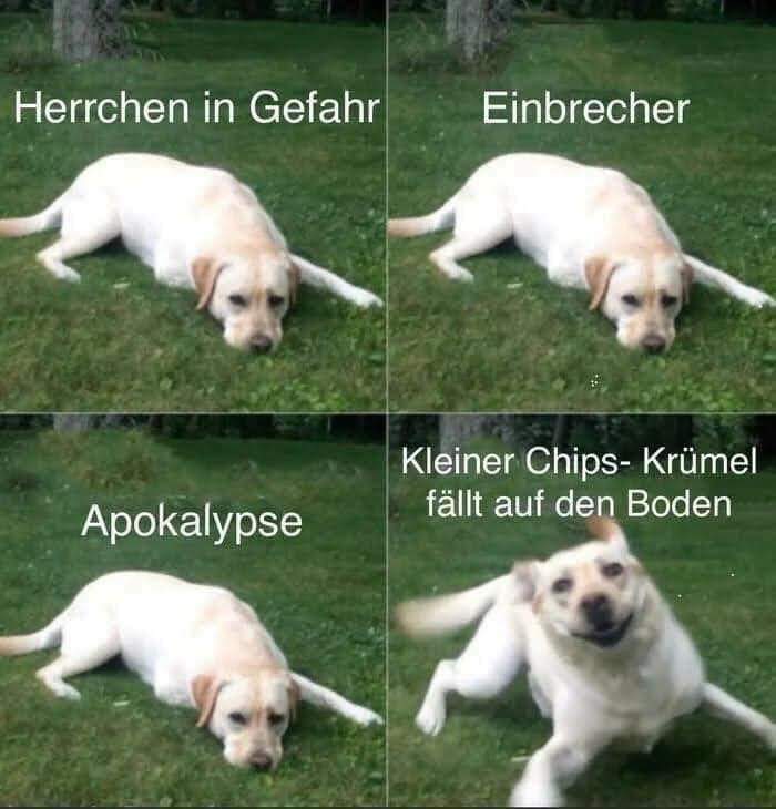 die Apokalypse - apokalipsa