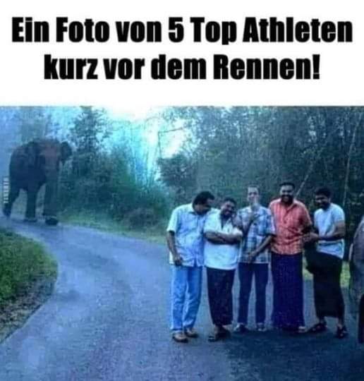 das Rennen - wyścigi, rajd