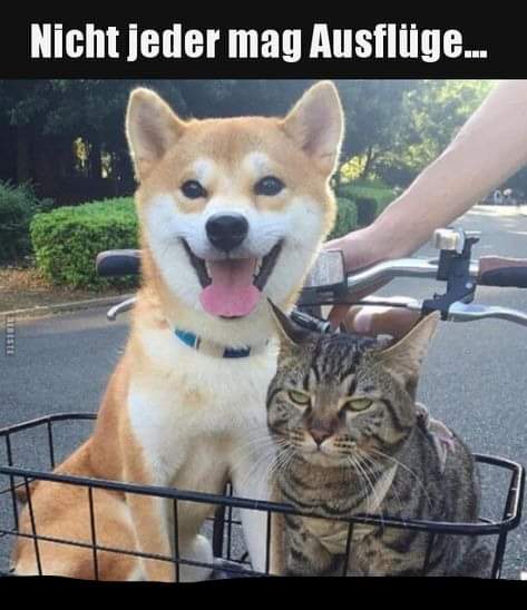 der Ausflug - wycieczka