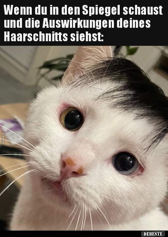 die Auswirkung - rezultat, skutek, wynik, konsekwencja