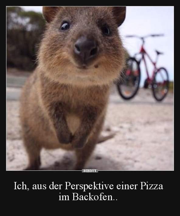 die Perspektive - perspektywa