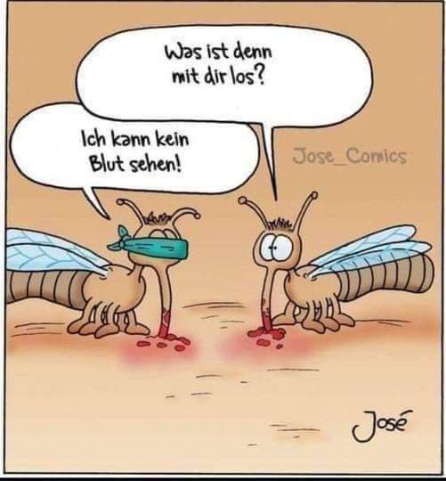 das Blut - krew