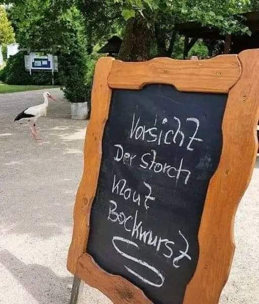 klauen - buchnąć, zwędzić, popełniać plagiat, plagiatować