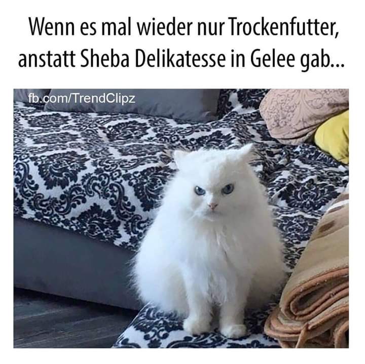 die Delikatesse - smakołyk, delikatesy