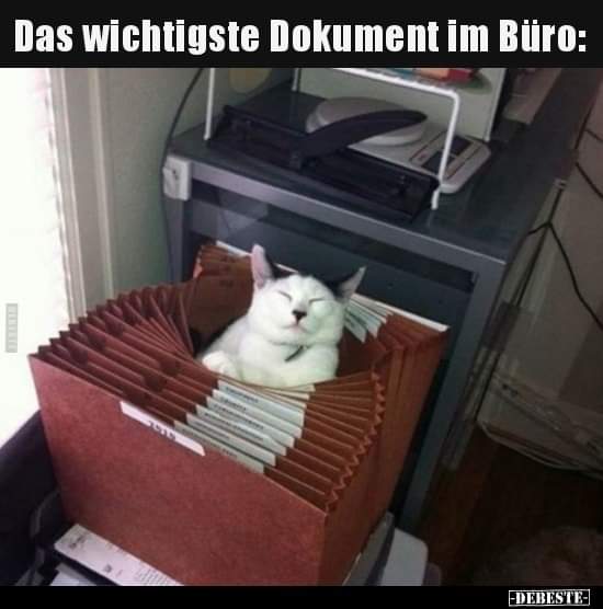 das Büro - biuro