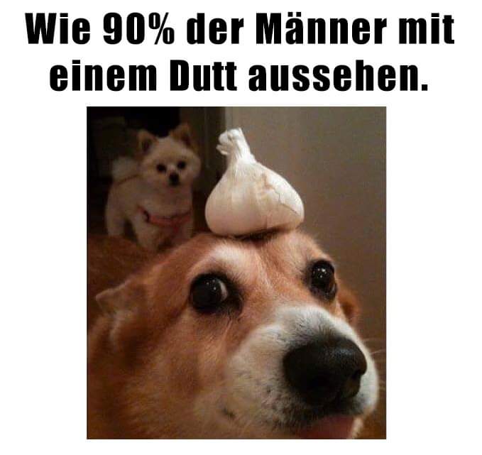 der Dutt - kok