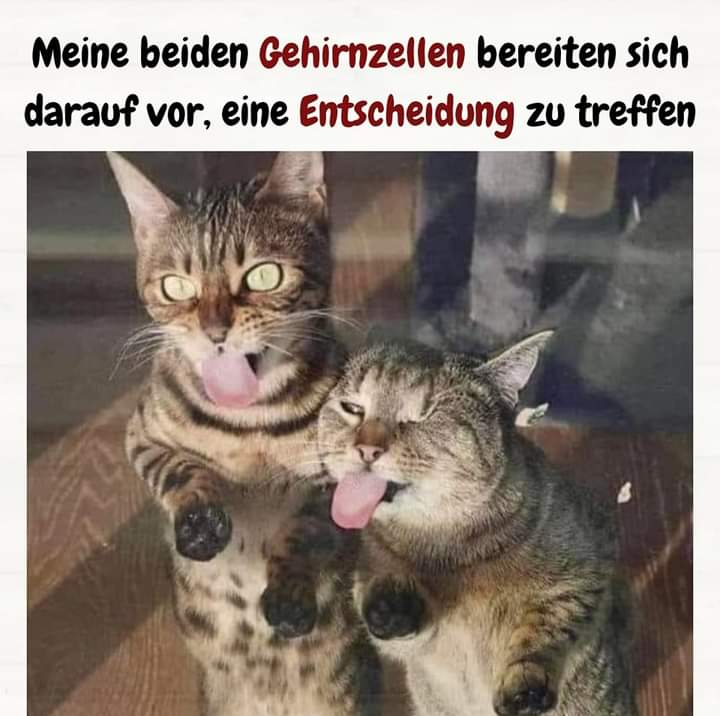 Entscheidung die - decyzja, rozstrzygnięcie, orzeczenie, postanowienie