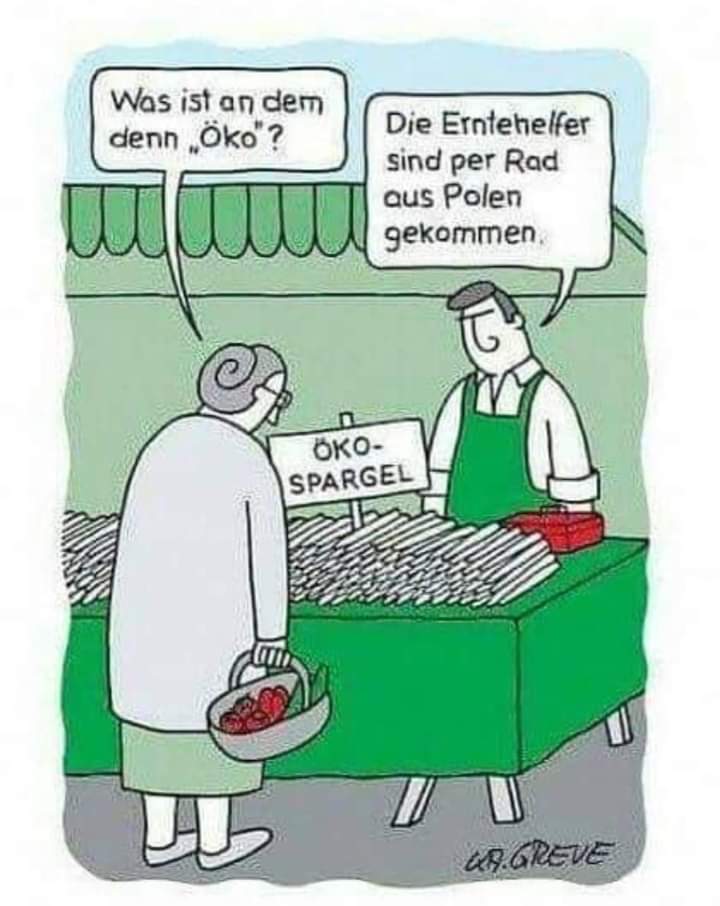 öko - eko, ekologiczny