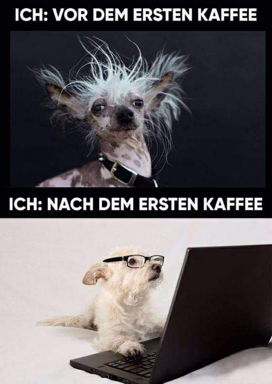 der/die/das Erste - pierwszy, pierwsza, pierwsze