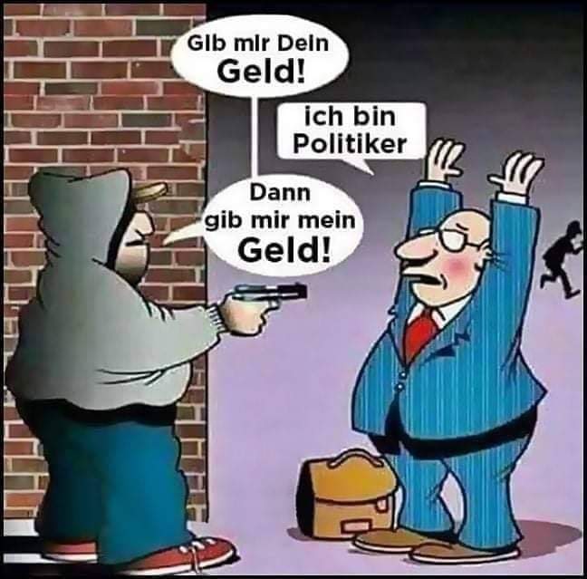 der Politiker - polityk