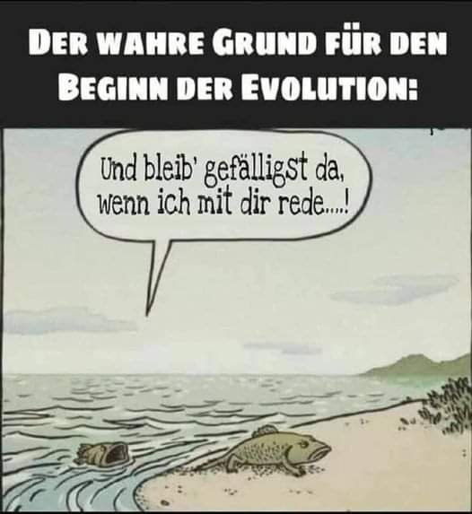 der Grund - grunt, ziemia, przyczyna, powód