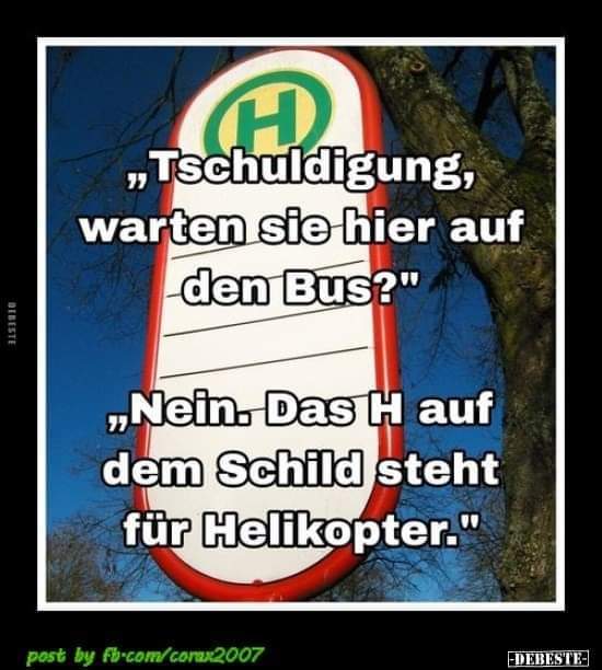 der Bus - autobus