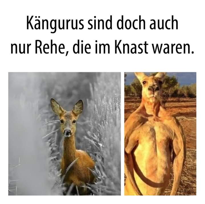 der Knast - kryminał, mamer