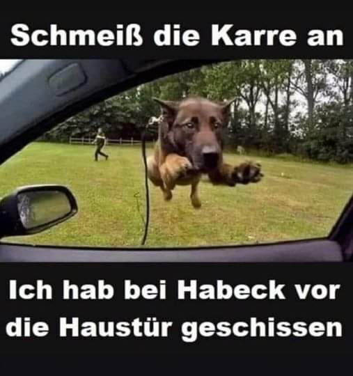 die Karre - wóz, wózek, taczka, samochód