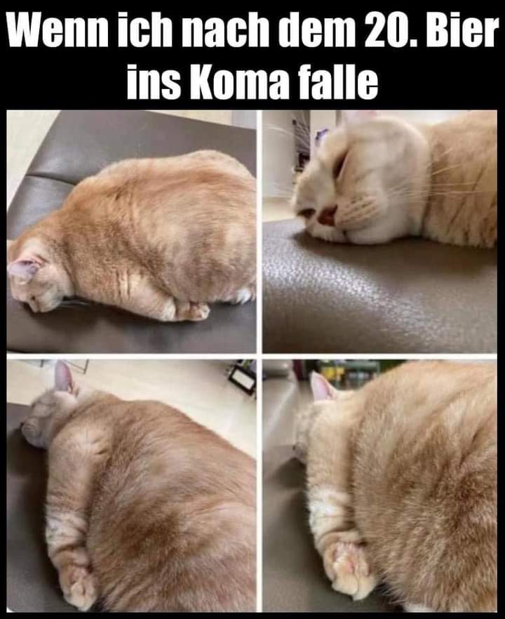 das Koma - śpiączka