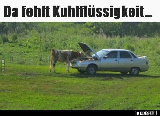 die Kühlflüssigkeit - ciecz chłodząca, chłodziwo