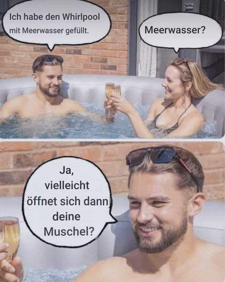 die Muschel - małż, muszla, koncha