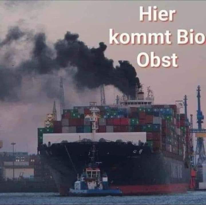 das Obst - owoce