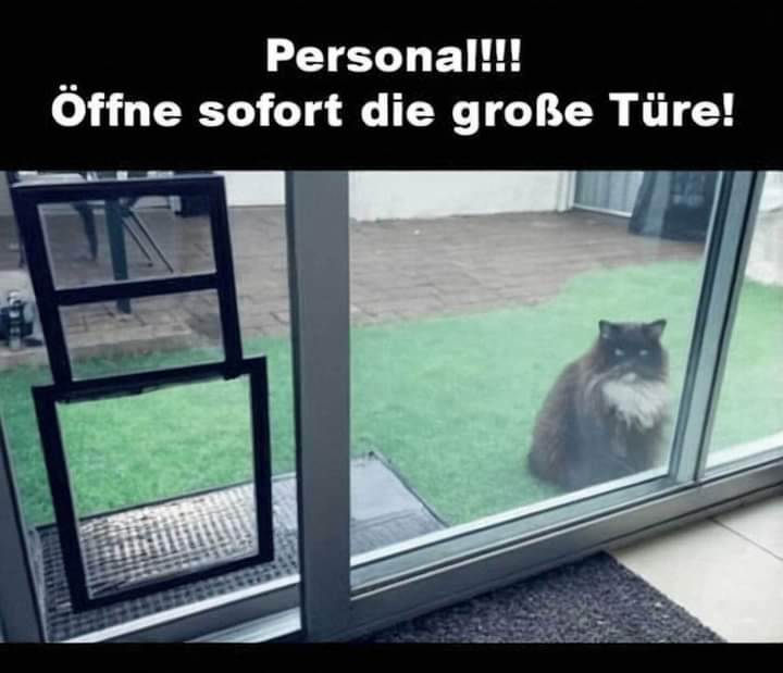 das Personal - personel