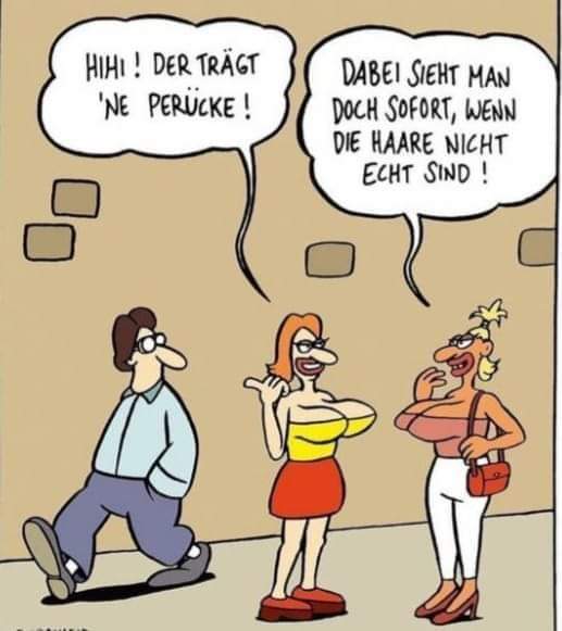 die Perücke - peruka