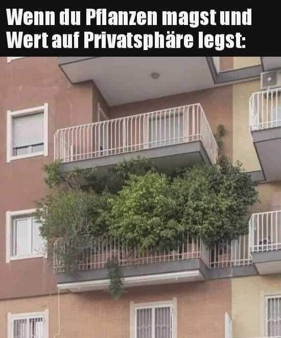 der Wert - wartość, waga, znaczenie