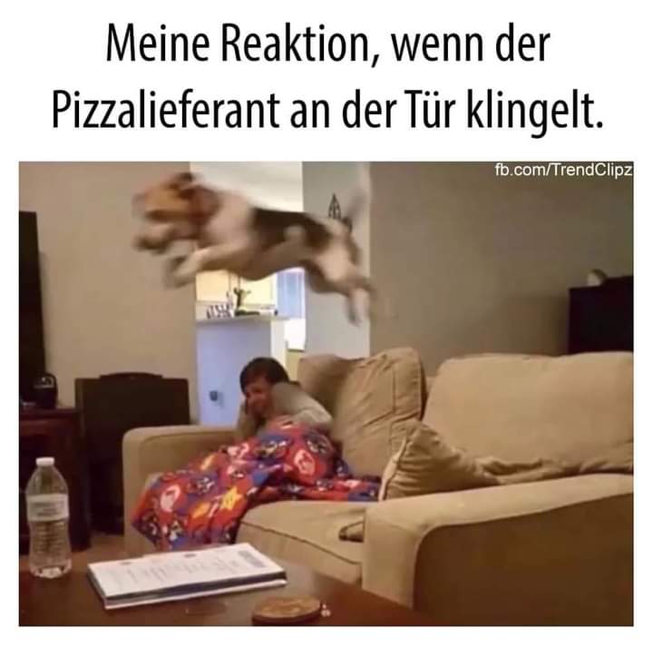 der Pizzalieferant - dostawca pizzy