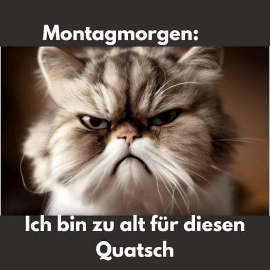 der Quatsch - bzdura, głupstwo, brednie