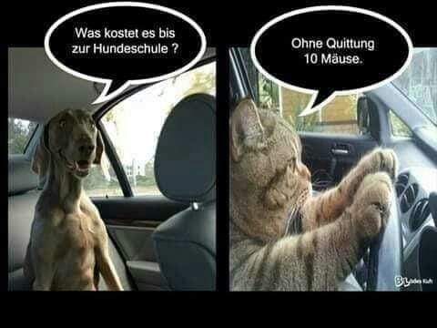 die Quittung - kwit, pokwitowanie
