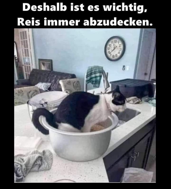 der Reis - ryż
