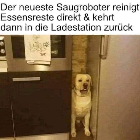 der Roboter - robot