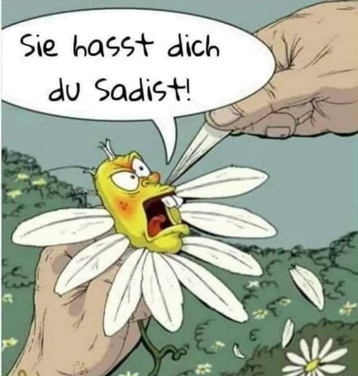 der Sadist - sadysta