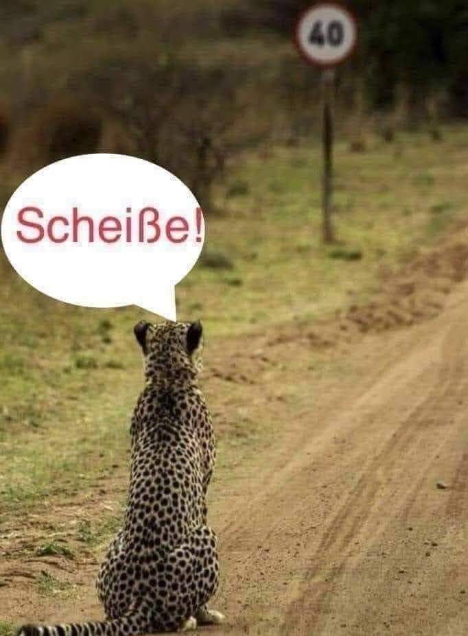 die Scheiße - gówno