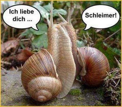der Schleimer - obłudnik, hipokryta, lizus