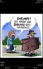 der Shrimp - krewetka