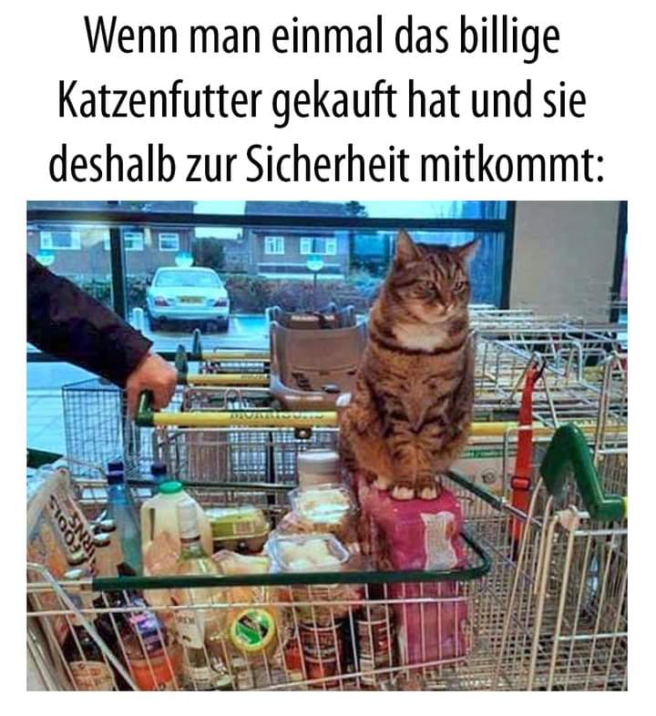 die Sicherheit - pewność, bezpieczeństwo