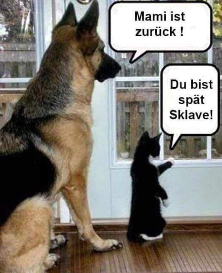 der Sklave - niewolnik