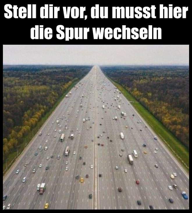 die Spur - ślad, trop, koleina, pas ruchu