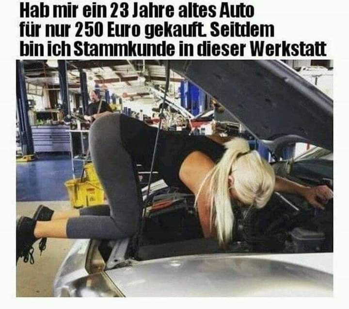 der Stammkunde - stały klient