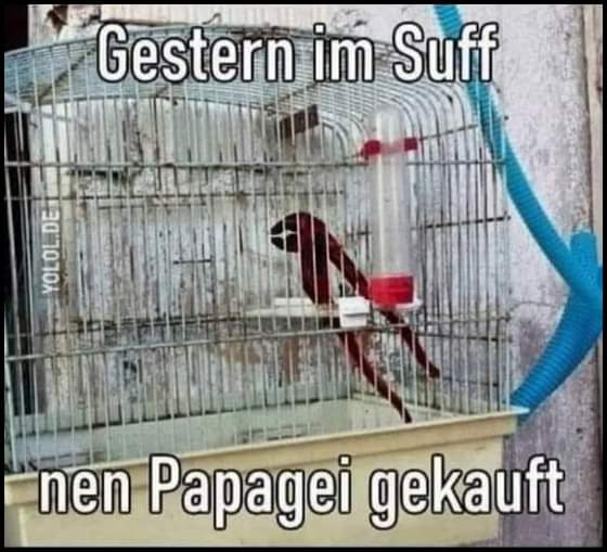 der Suff - pijaństwo